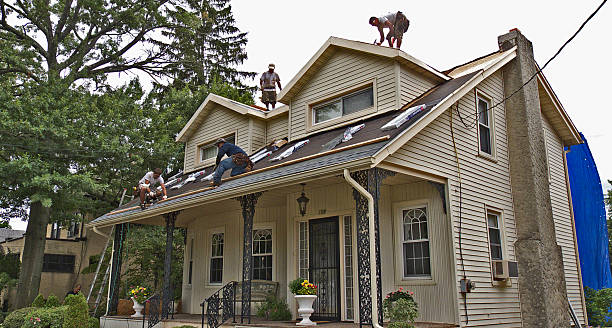 Best Flat Roof Repair Services  in Holtsville, NY